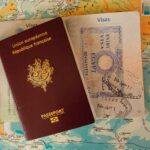 approved moving passport
